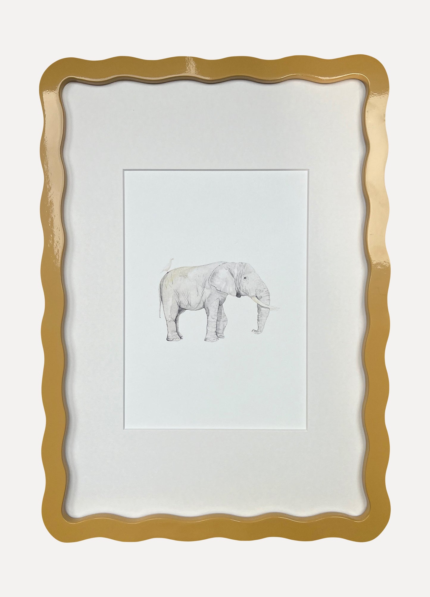 ELEPHANT Sarah Smith x Alma Frames