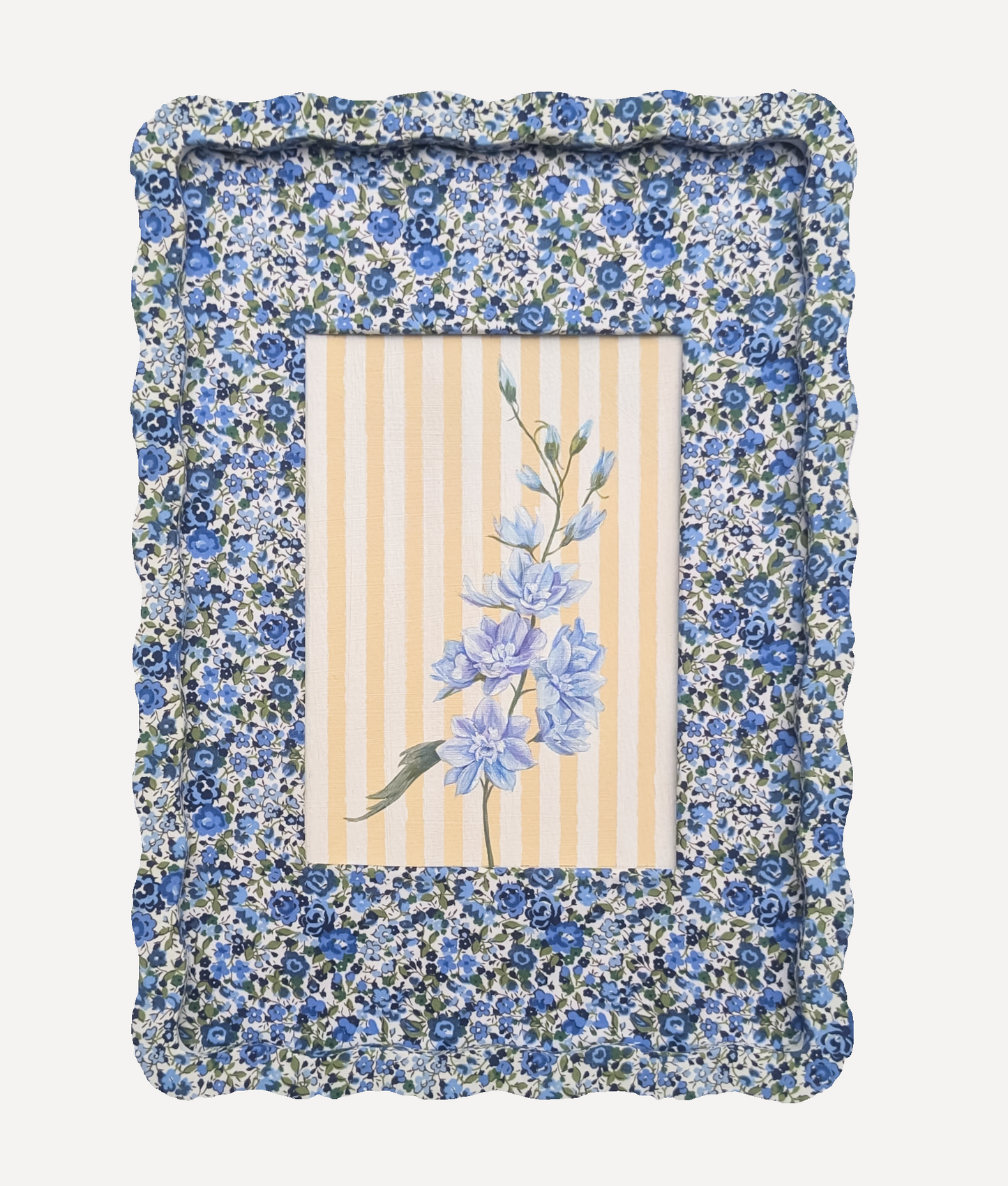 Alma x PWD Delphiniums