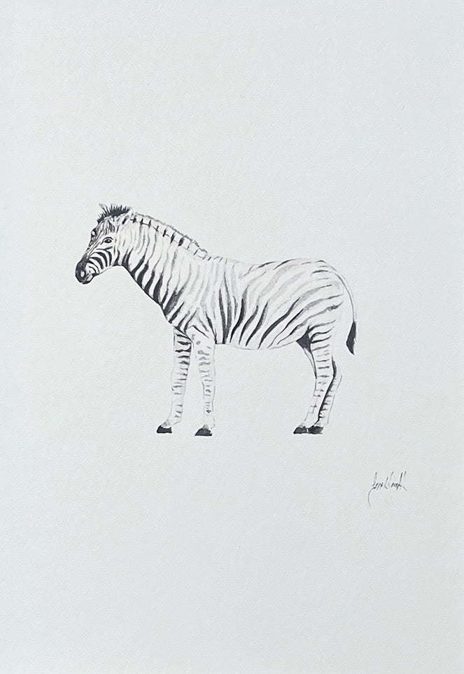 ZEBRA Sarah Smith x Alma Frames