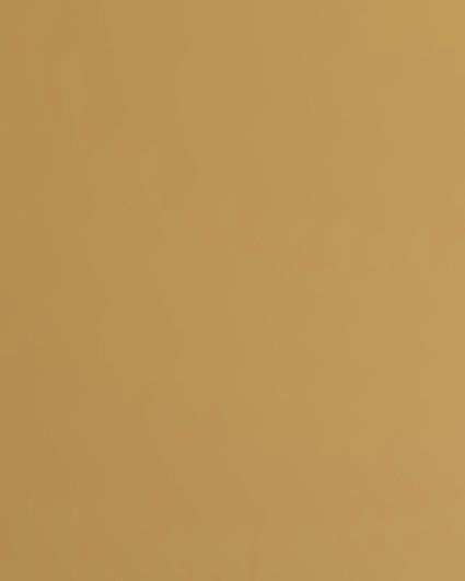 Mustard Yellow Medium Shimmy Mirror