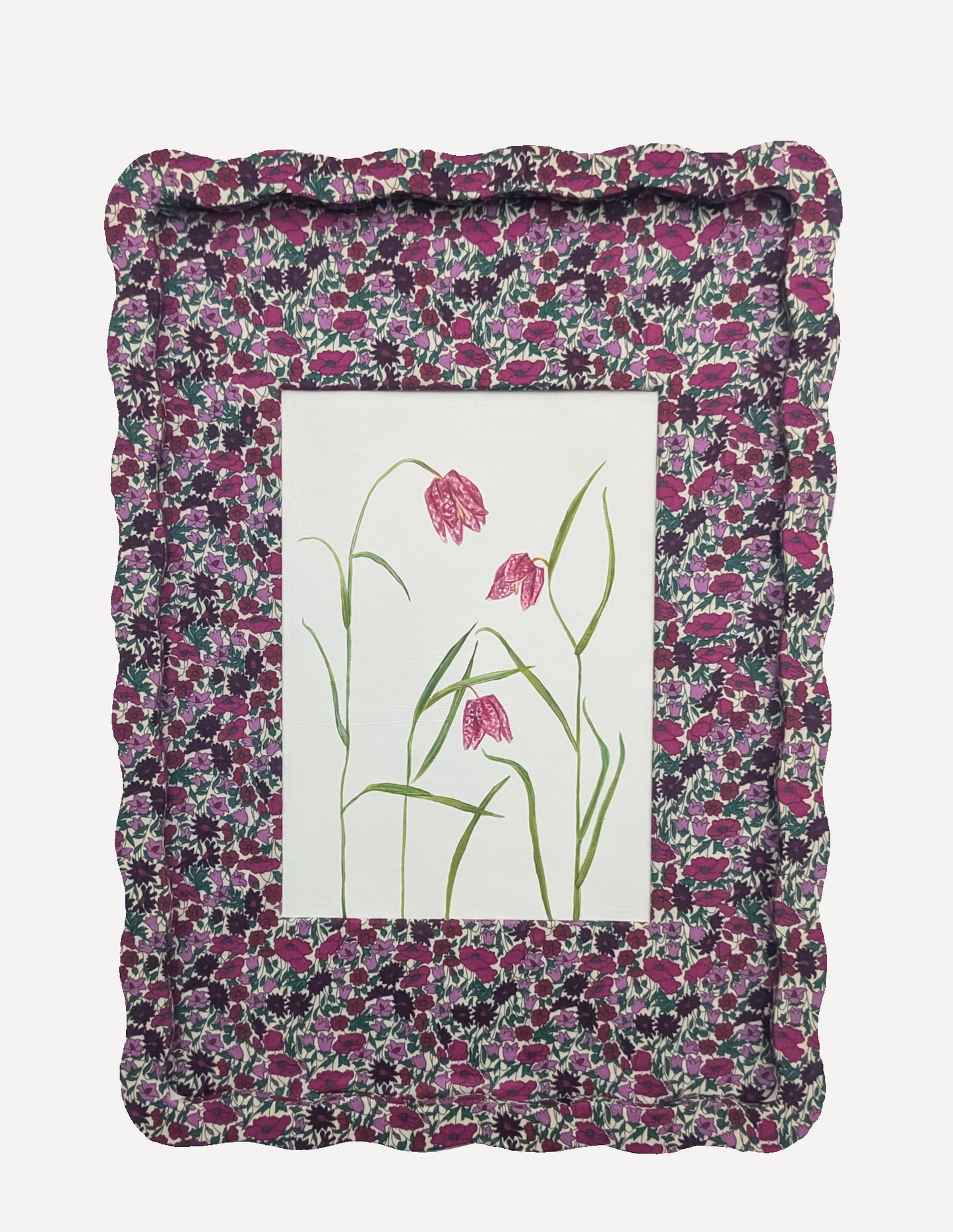 Alma x PWD Fritillaries