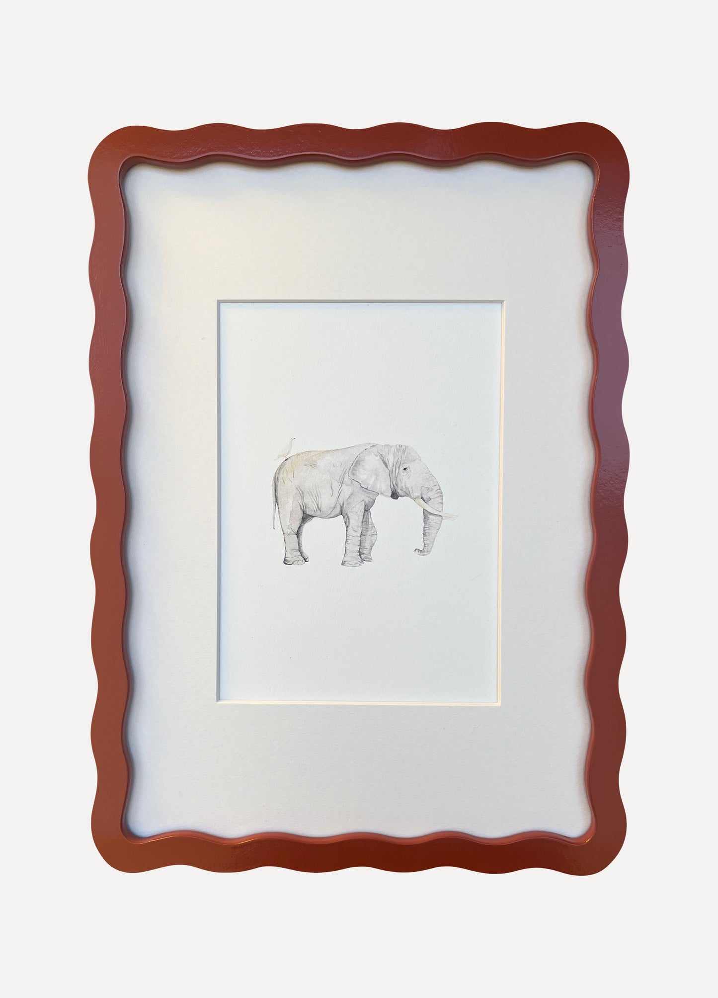 ELEPHANT Sarah Smith x Alma Frames