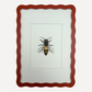 BEE Sarah Smith x Alma Frames