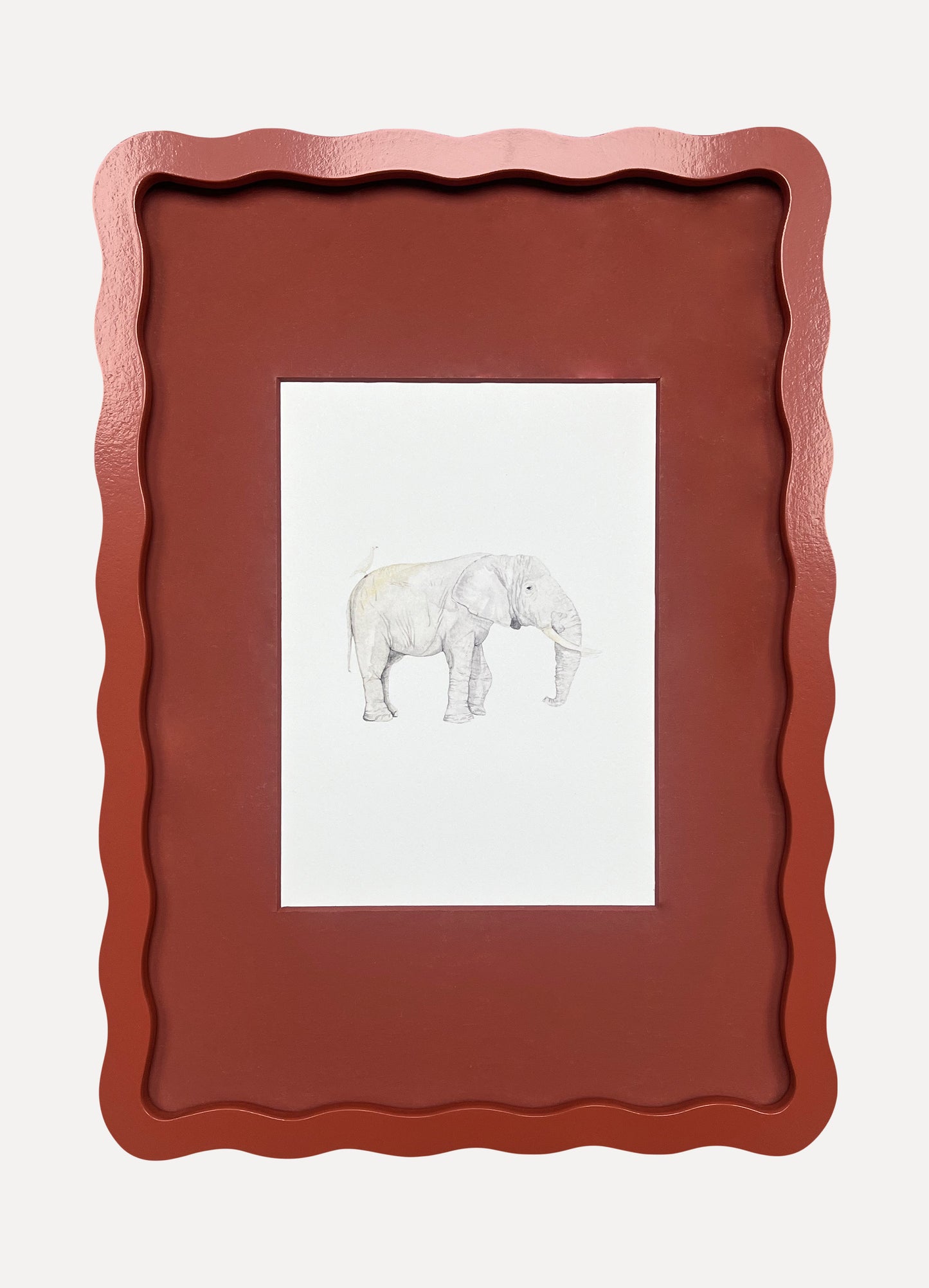 ELEPHANT Sarah Smith x Alma Frames