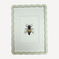 BEE Sarah Smith x Alma Frames