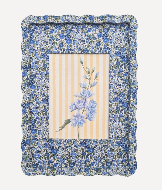 Alma x PWD Delphiniums