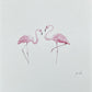 FLAMINGOS Sarah Smith x Alma Frames