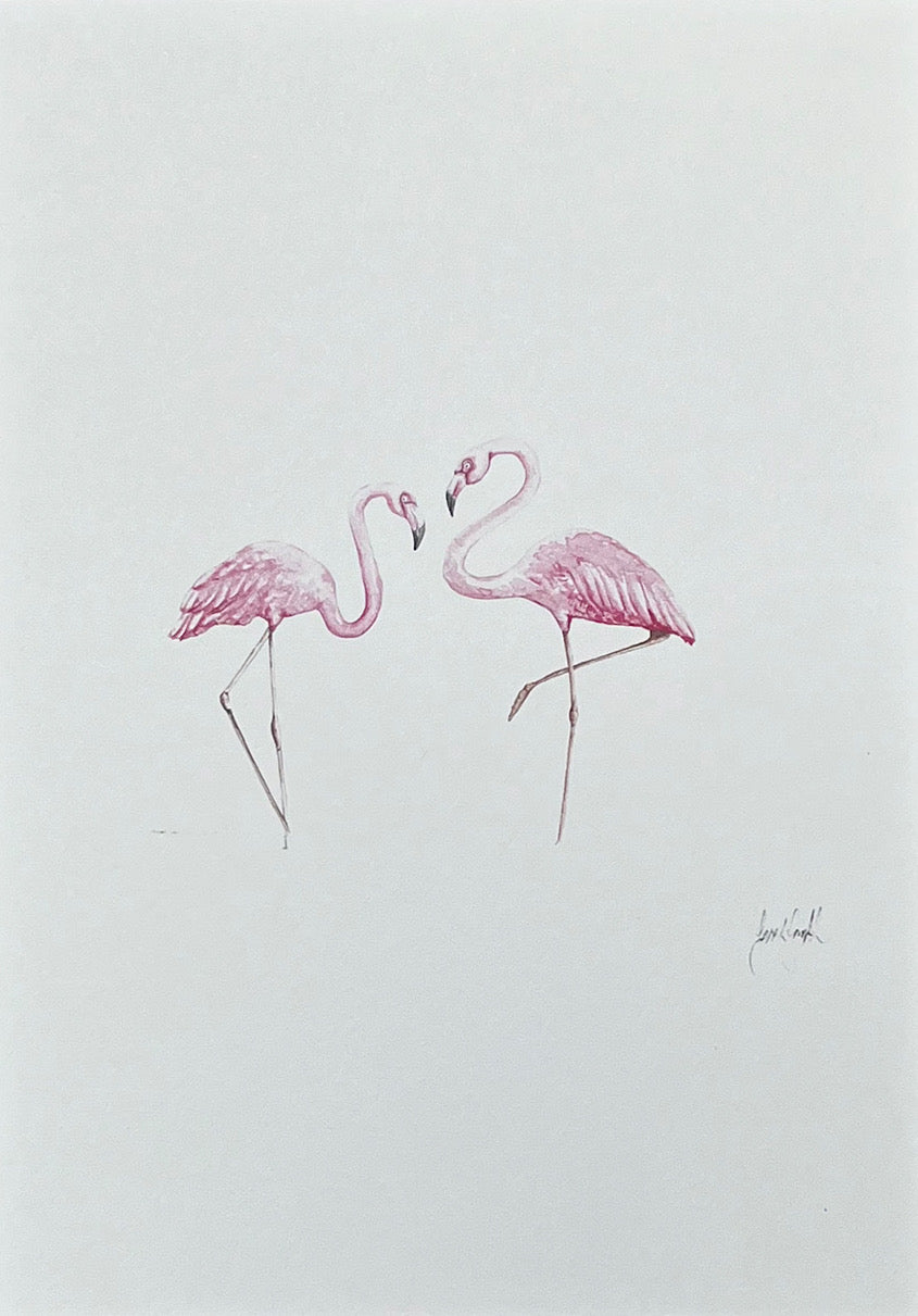 FLAMINGOS Sarah Smith x Alma Frames