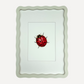LADYBIRD Sarah Smith x Alma Frames