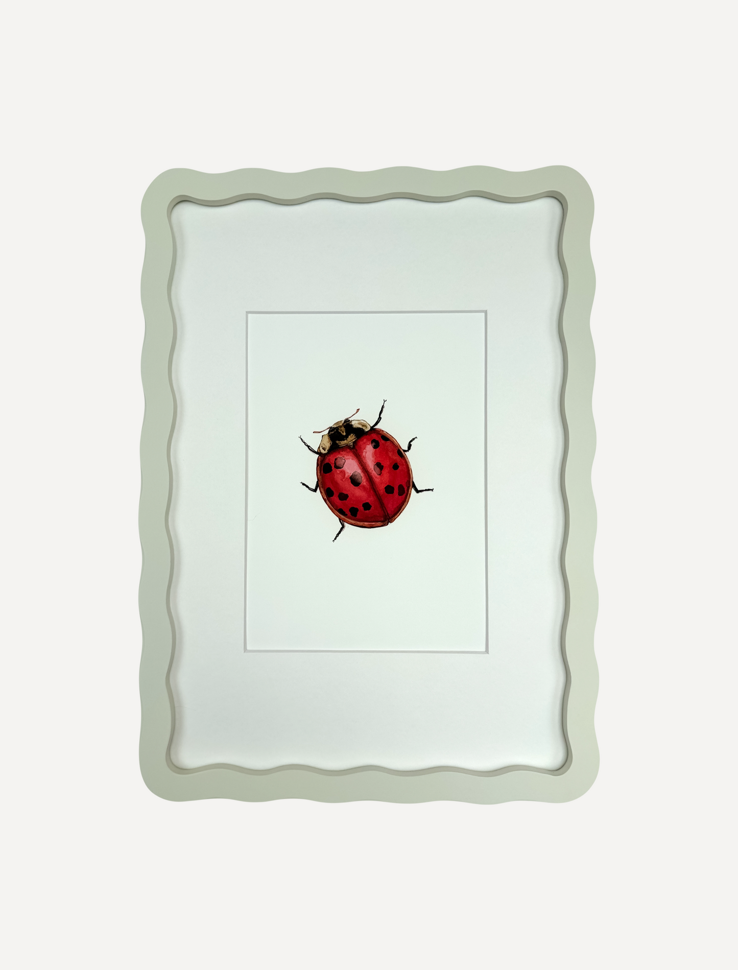 LADYBIRD Sarah Smith x Alma Frames