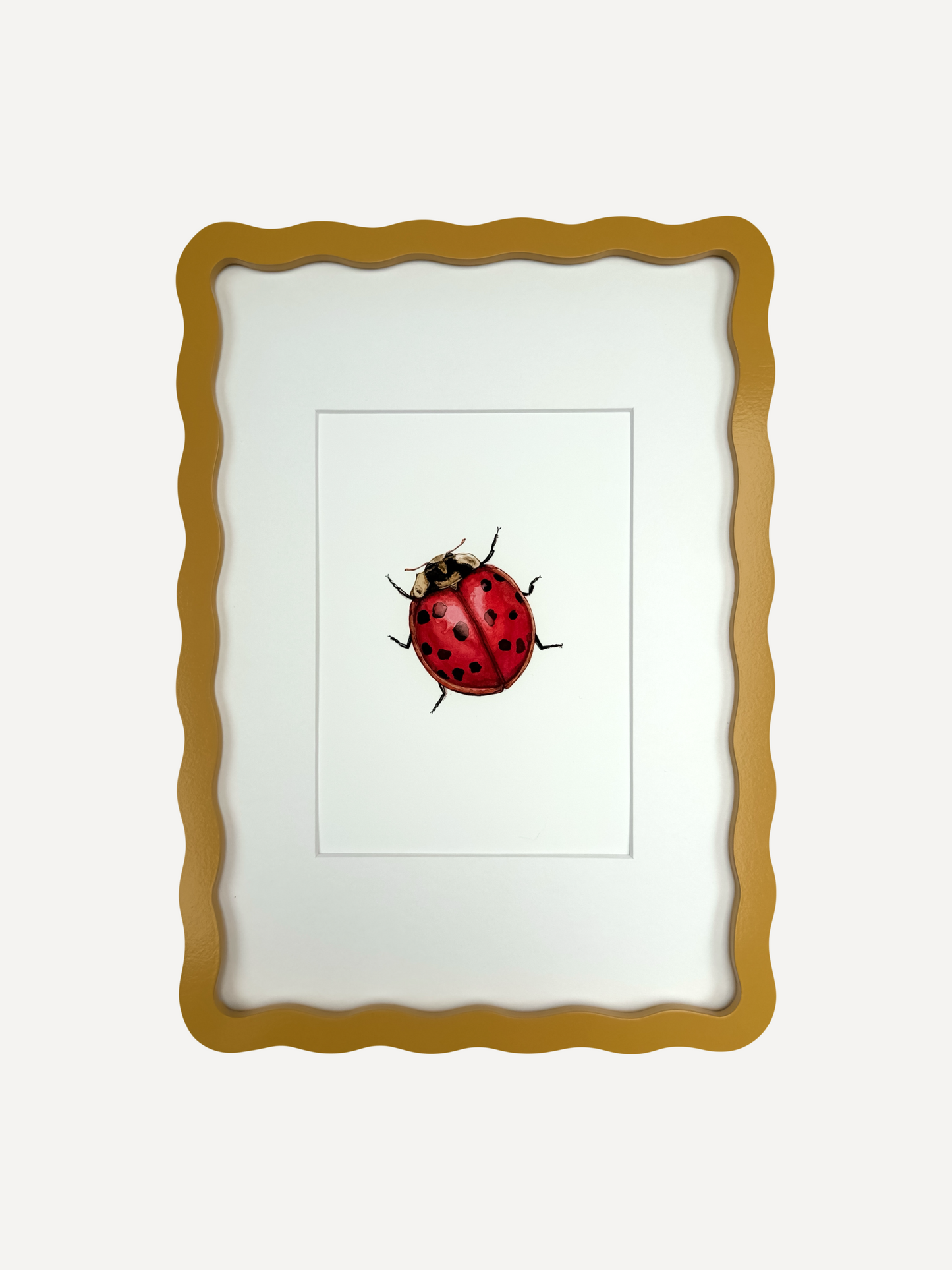 LADYBIRD Sarah Smith x Alma Frames