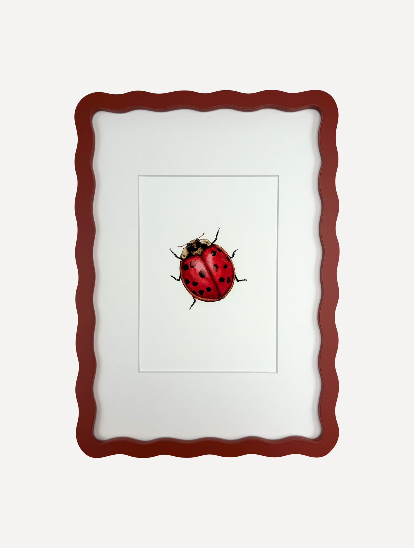 LADYBIRD Sarah Smith x Alma Frames