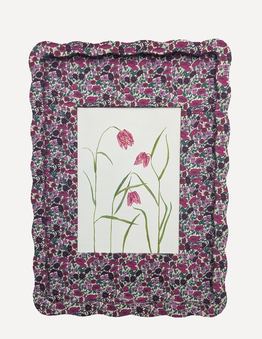 Alma x PWD Fritillaries