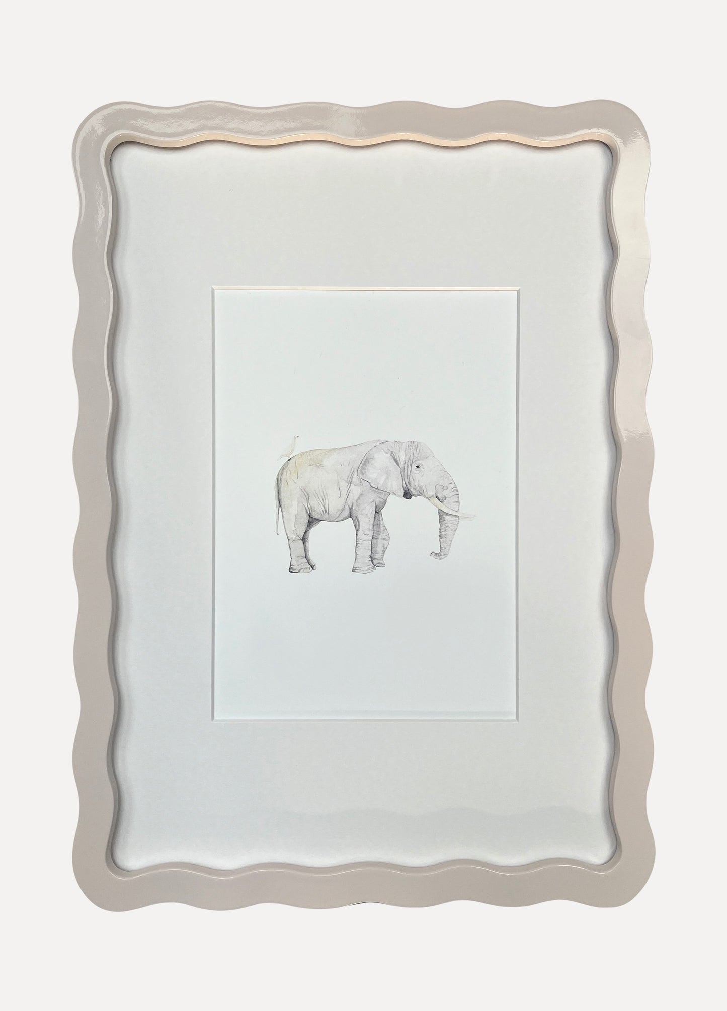 ELEPHANT Sarah Smith x Alma Frames