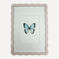 BUTTERFLY Sarah Smith x Alma Frames