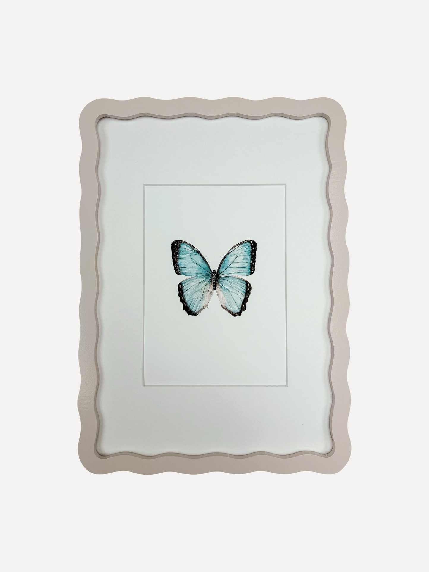 BUGS SET Sarah Smith x Alma Frames