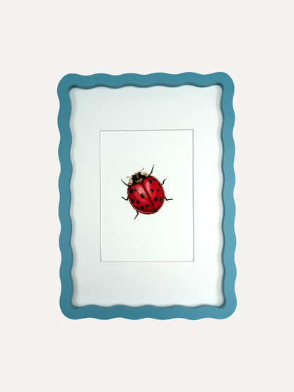 LADYBIRD Sarah Smith x Alma Frames
