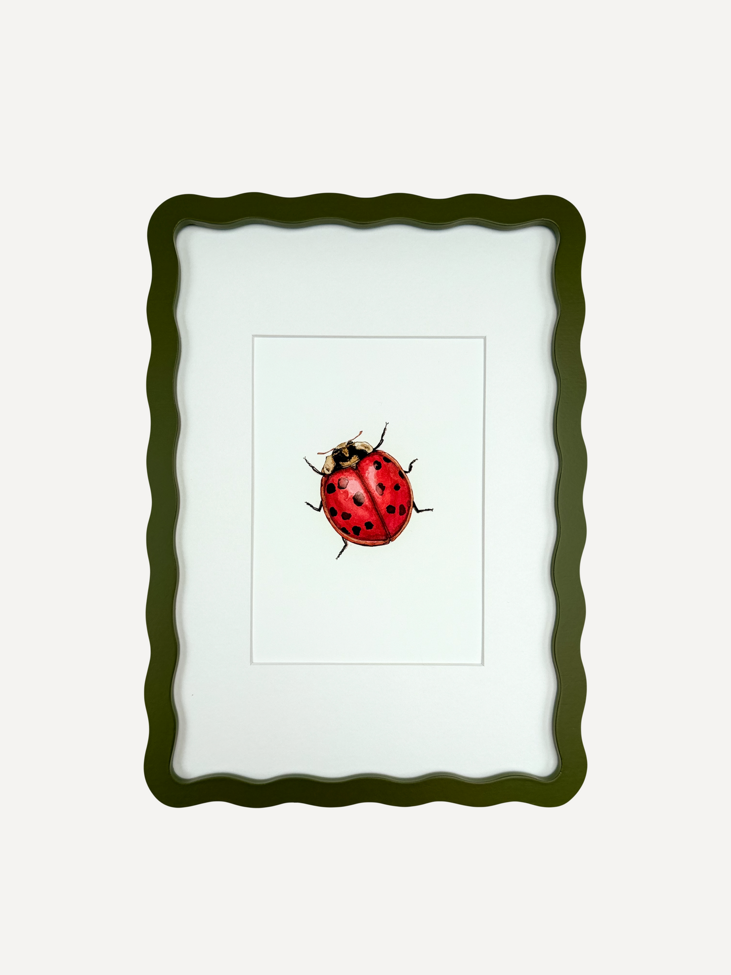 LADYBIRD Sarah Smith x Alma Frames