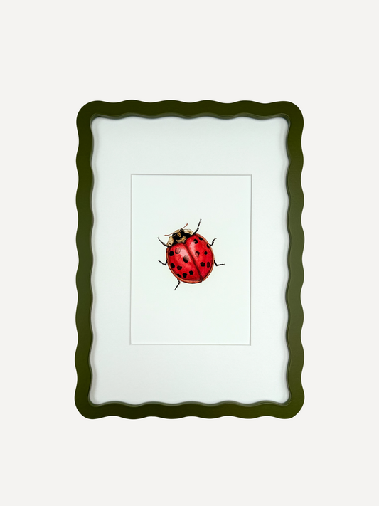 LADYBIRD Sarah Smith x Alma Frames