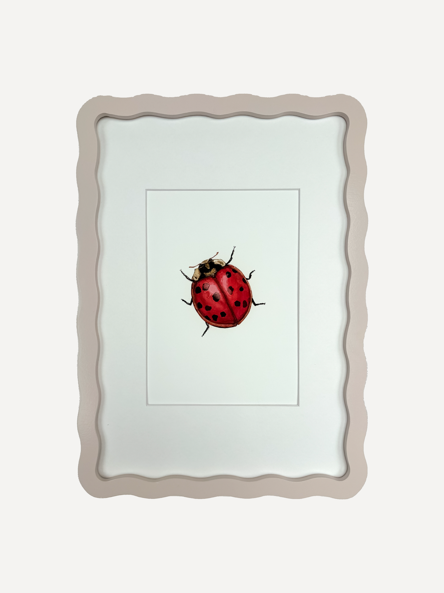 LADYBIRD Sarah Smith x Alma Frames