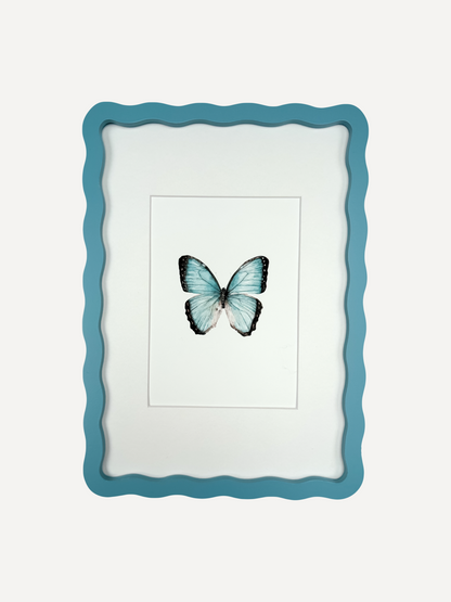 BUTTERFLY Sarah Smith x Alma Frames