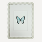 BUTTERFLY Sarah Smith x Alma Frames
