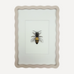 BEE Sarah Smith x Alma Frames