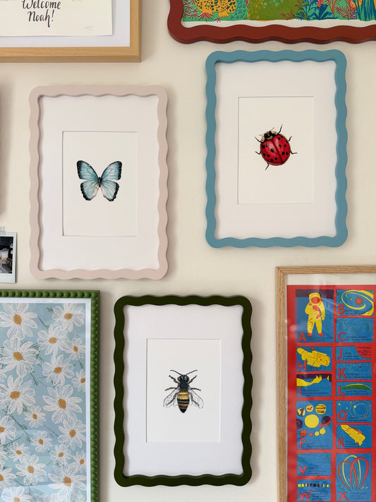 BUGS SET Sarah Smith x Alma Frames
